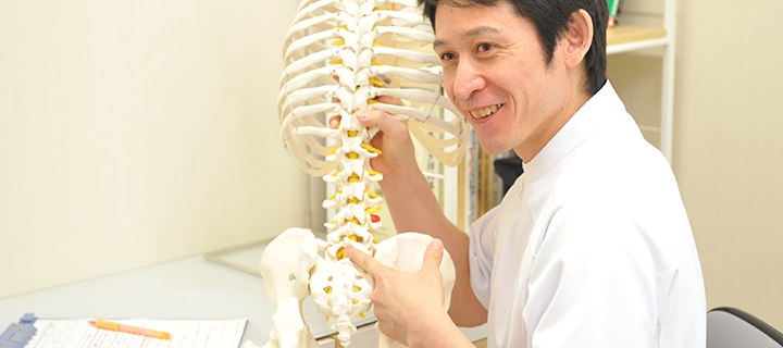 骨盤底筋群を始めとしたインナーマッスル